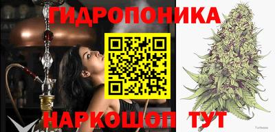 мяу мяу мука Малгобек