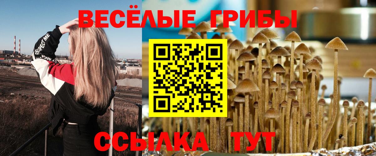 Галлюциногенные грибы GOLDEN TEACHER Хабаровск